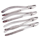 10pcs/set Tooth Extracting Forceps Dental Pliers with Tool kit Dental Surgical Extraction