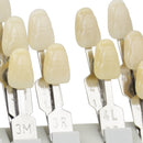 Durable Porcelain Teeth Dental Materials VITA 29 Colors Shade Guide Teeth