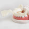 17pcs/set Dental Edentulous Jaw Impression Trays Full/Complete Denture Teeth Repair