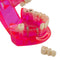 Dental Teeth Model Teach Study Oral Implant Restoration & Pathology