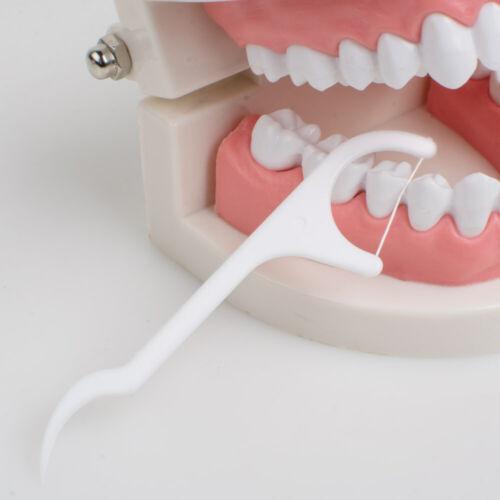 Flosser Picks Oral Care Stick Teeth Toothpicks
