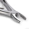 7pcs/Set Stainless Steel Dental Orthodontic Children's Tooth Extraction Pliers Kit
