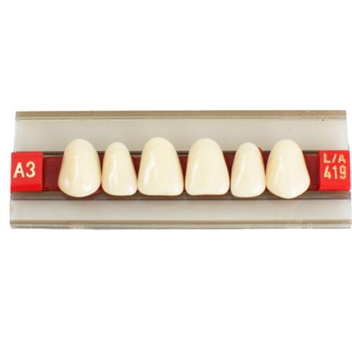 G419 Resin Denture Denshine Acrylic Resin Denture