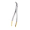 FDA Tool Dentist Dental General Tooth Root Extraction Forceps