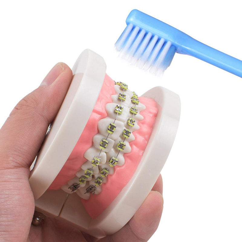 Oral Care Toothbrush Orthodontic With Inter-Dental Brush V-Shaped Toothbrushes