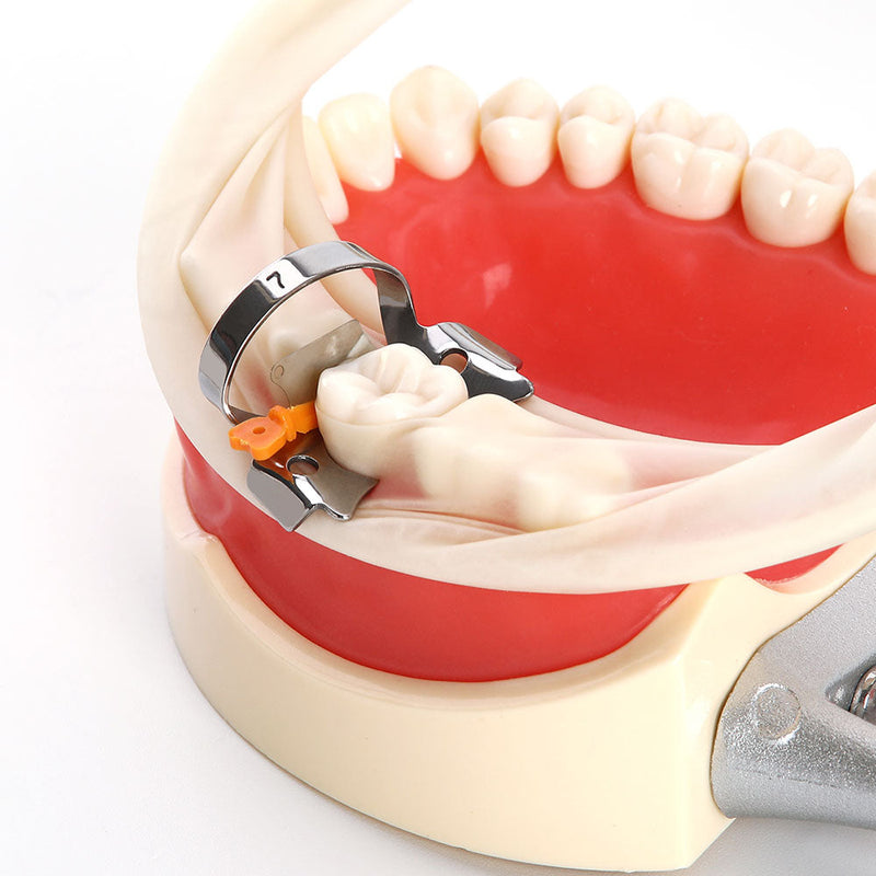 50pcs/box Dental Prime Teeth Interproximal Plastic Wedge With Protection