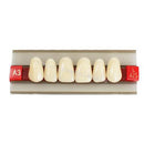 Dental Teeth G425 Acrylic Resin Denture
